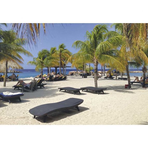 Шезлонг садовый Pacific, фото , изображение 3